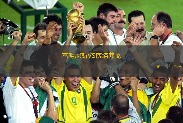 富明尼斯VS博塔弗戈
